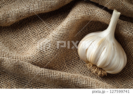 A white garlic bulb sits on a brown cloth, fresh and unblemished A white garlic bulb sits on a brown cloth, fresh and unblemished 127599741
