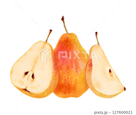 Fruit composition of whole yellow pear with slices. Watercolor illustration. Ripe fruits from tree. Hand drawn isolated art. Vegetarian products organic food. For juice packaging design, menu 127600021