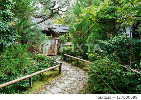 緑に覆われた光悦寺の参道 127600099