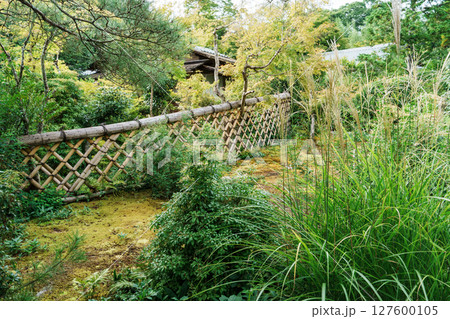 秋　鷹峯と光悦垣のある風景 127600105