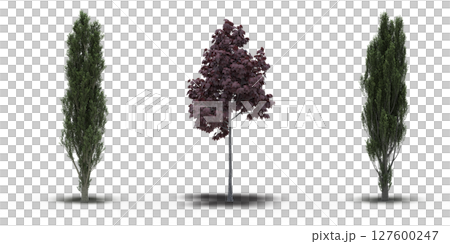 large tree with a shadow under it, isolated on a transparent background, 3D illustration, cg render large tree with a shadow under it, isolated on a transparent background, 3D illustration, cg render 127600247