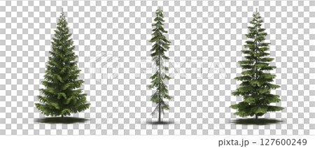 large tree with a shadow under it, isolated on a transparent background, 3D illustration, cg render large tree with a shadow under it, isolated on a transparent background, 3D illustration, cg render 127600249