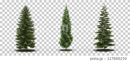 large tree with a shadow under it, isolated on a transparent background, 3D illustration, cg render 127600250