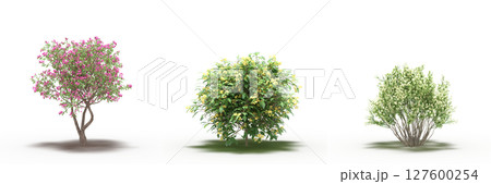 large tree with a shadow under it, isolated on a transparent background, 3D illustration, cg render large tree with a shadow under it, isolated on a transparent background, 3D illustration, cg render 127600254