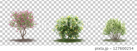 large tree with a shadow under it, isolated on a transparent background, 3D illustration, cg render large tree with a shadow under it, isolated on a transparent background, 3D illustration, cg render 127600254