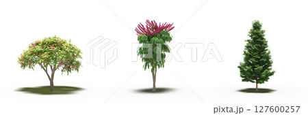 large tree with a shadow under it, isolated on a transparent background, 3D illustration, cg render large tree with a shadow under it, isolated on a transparent background, 3D illustration, cg render 127600257