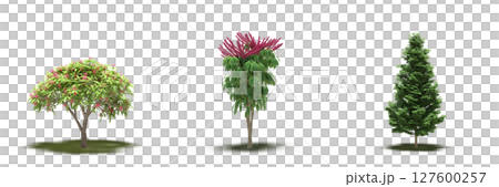 large tree with a shadow under it, isolated on a transparent background, 3D illustration, cg render 127600257