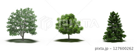 large tree with a shadow under it, isolated on a transparent background, 3D illustration, cg render large tree with a shadow under it, isolated on a transparent background, 3D illustration, cg render 127600262