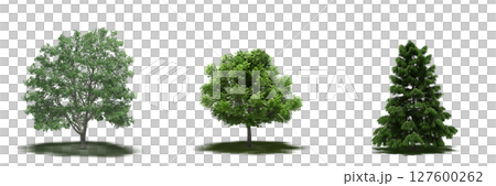 large tree with a shadow under it, isolated on a transparent background, 3D illustration, cg render 127600262