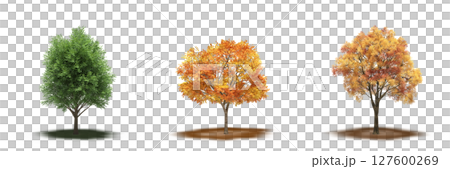 large tree with a shadow under it, isolated on a transparent background, 3D illustration, cg render large tree with a shadow under it, isolated on a transparent background, 3D illustration, cg render 127600269