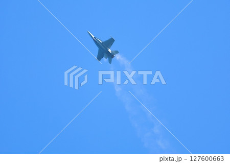 アクロバット飛行する ホーネット アクロバット飛行する ホーネット 127600663