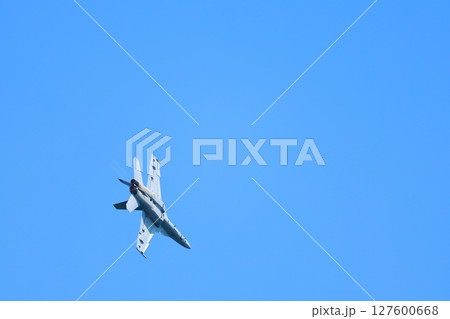 アクロバット飛行する ホーネット アクロバット飛行する ホーネット 127600668