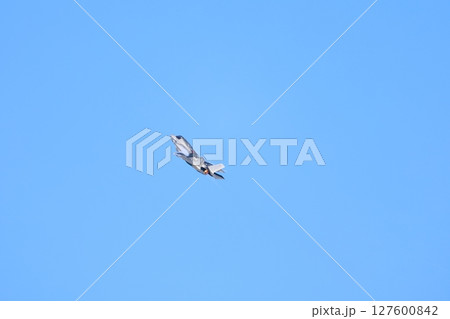アクロバット飛行するF-35  127600842
