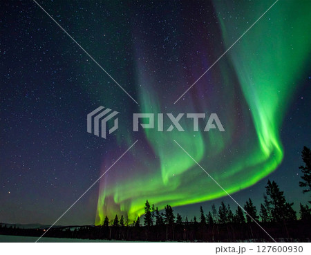 オーロラの見える夜空 127600930