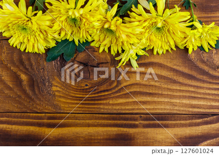 Yellow chrysanthemums on wooden background. Top view, copy space Yellow chrysanthemums on wooden background. Top view, copy space 127601024