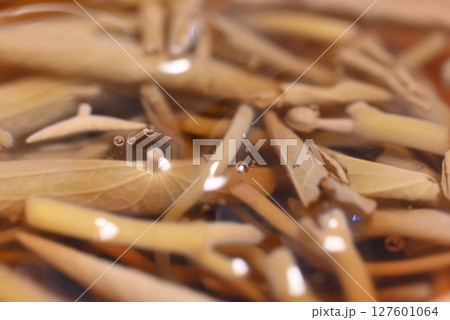 ぬるぬるとした食感が特徴のジュンサイ ぬるぬるとした食感が特徴のジュンサイ 127601064