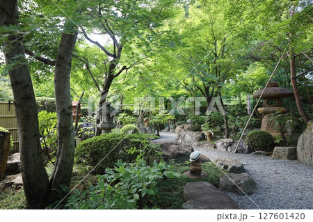 宝徳寺、夏の景色【群馬県・桐生市】 宝徳寺、夏の景色【群馬県・桐生市】 127601420