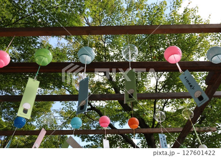 宝徳寺、風鈴まつりの景色【群馬県・桐生市】 宝徳寺、風鈴まつりの景色【群馬県・桐生市】 127601422