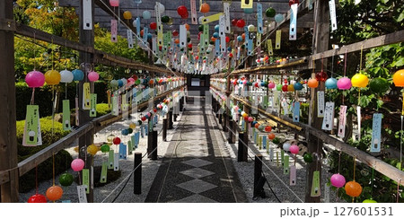 宝徳寺、風鈴まつり【群馬県・桐生市】 宝徳寺、風鈴まつり【群馬県・桐生市】 127601531