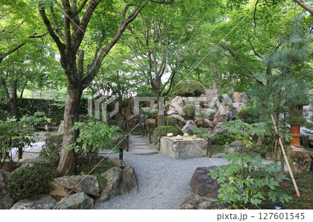 宝徳寺、夏の景色【群馬県・桐生市】 宝徳寺、夏の景色【群馬県・桐生市】 127601545