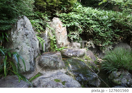 宝徳寺、夏の景色【群馬県・桐生市】 宝徳寺、夏の景色【群馬県・桐生市】 127601560