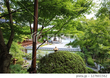 夏の宝徳寺、と本堂の枯山水【群馬県・桐生市】 夏の宝徳寺、と本堂の枯山水【群馬県・桐生市】 127601562