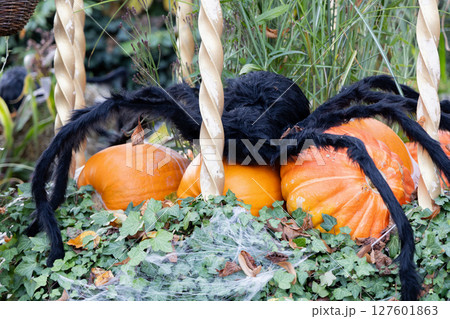 Traditional park decoration for Halloween with pumpkins 127601863