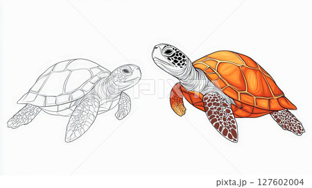 Outline of a turtle and a painted turtle for coloring book 127602004