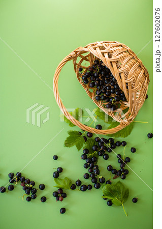 Blackcurrant scattered nearby on a green background 127602076