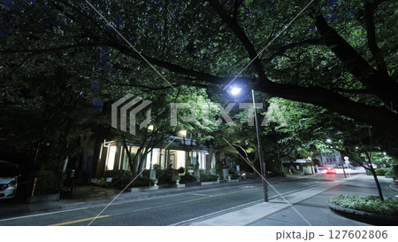横浜市山手西洋館234番館の夜景 横浜市山手西洋館234番館の夜景 127602806