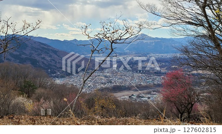 春前　絶景 127602815