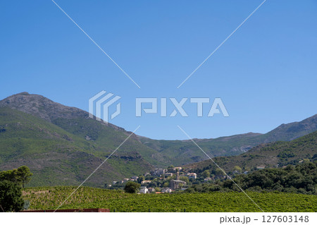 A stunning vineyard landscape featuring majestic mountains and a clear blue sky A stunning vineyard landscape featuring majestic mountains and a clear blue sky 127603148
