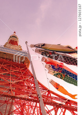 carp streamer 127603187