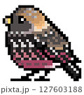 ドット絵 アニマルイラスト ハギマシコのオス 127603188