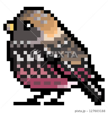 ドット絵 アニマルイラスト ハギマシコのオス 127603188