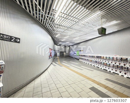 ニューシャトル線鉄道博物館駅　旧大成駅構内 127603307