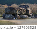 明日香 127603528