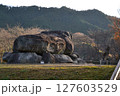 明日香 127603529