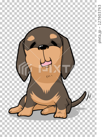 Dachshund sitting and smiling 127603763