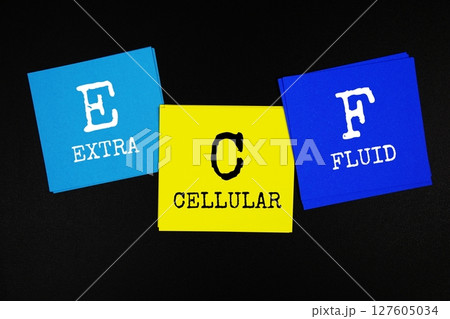 ECF - Extracellular fluid acronym text on sticky note on black background ECF - Extracellular fluid acronym text on sticky note on black background 127605034