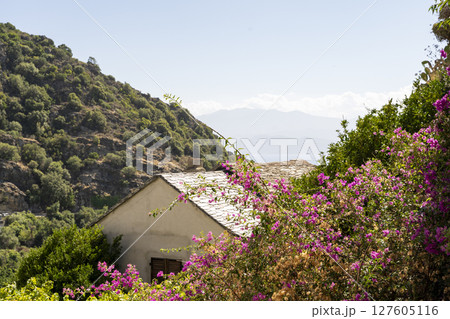 A Beautiful Scenic Mountain View Accompanied by Blooming Flowers and a Tranquil House A Beautiful Scenic Mountain View Accompanied by Blooming Flowers and a Tranquil House 127605116
