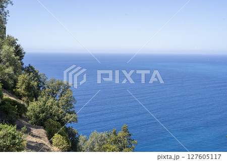 Experience a Serene Coastal View Featuring Clear Blue Waters Surrounded by Lush Foliage 127605117