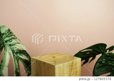 Wooden podium display scene stage showcase front view with copy space and monstera leaves decoration on pink background Wooden podium display scene stage showcase front view with copy space and monstera leaves decoration on pink background 127605578