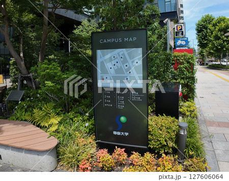 専修大学 127606064