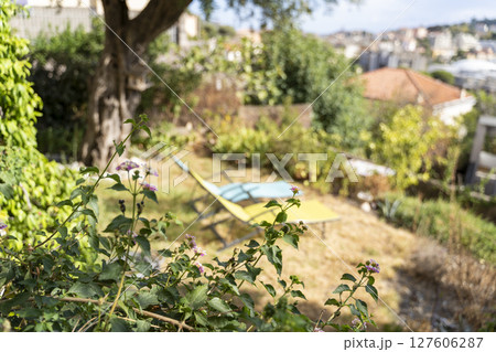 Discover a Tranquil Garden Retreat Featuring a Cozy Sunlit Lounger for Ultimate Relaxation 127606287