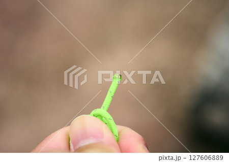 焼き止めした細引きロープ 焼き止めした細引きロープ 127606889