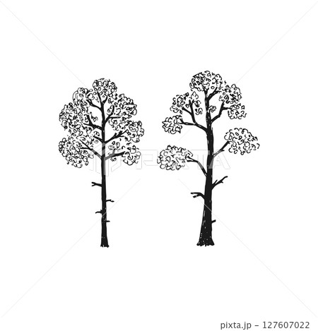 Big detailed Decorative tree graphic in hand drawn style 127607022