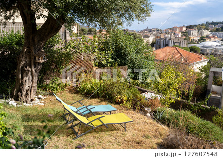 A Tranquil Garden View Featuring Elegant Lounge Chairs Overlooking a Scenic Cityscape A Tranquil Garden View Featuring Elegant Lounge Chairs Overlooking a Scenic Cityscape 127607548