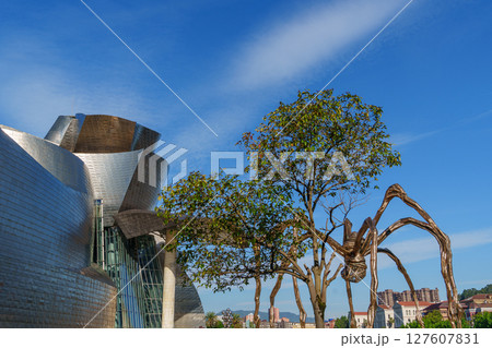 Bilbao in the spanish basque land 127607831
