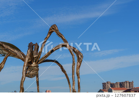 Bilbao in the spanish basque land 127607837